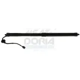 Gasfeder, Einlegeboden (Koffer-/Laderaum) hinten rechts hinten links MEAT & DORIA 301115