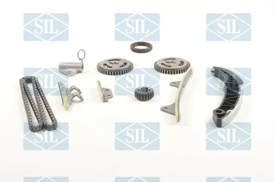 Steuerkettensatz Saleri SIL CK5176 Bild Steuerkettensatz Saleri SIL CK5176