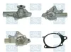 Wasserpumpe, Motorkühlung Saleri SIL PA1223