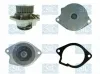 Wasserpumpe, Motork&uuml;hlung Saleri SIL PA1434