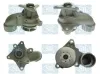 Wasserpumpe, Motork&uuml;hlung Saleri SIL PA1516