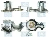 Wasserpumpe, Motorkühlung Saleri SIL PA1584