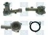 Wasserpumpe, Motorkühlung Saleri SIL PA218