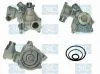 Wasserpumpe, Motork&uuml;hlung Saleri SIL PA610E