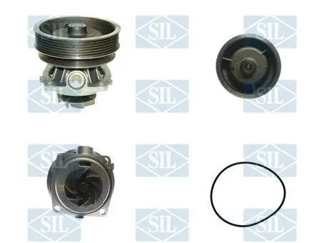 Wasserpumpe, Motorkühlung Saleri SIL PA857 Bild Wasserpumpe, Motorkühlung Saleri SIL PA857