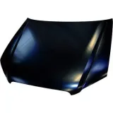 Motorhaube DIEDERICHS 1017100