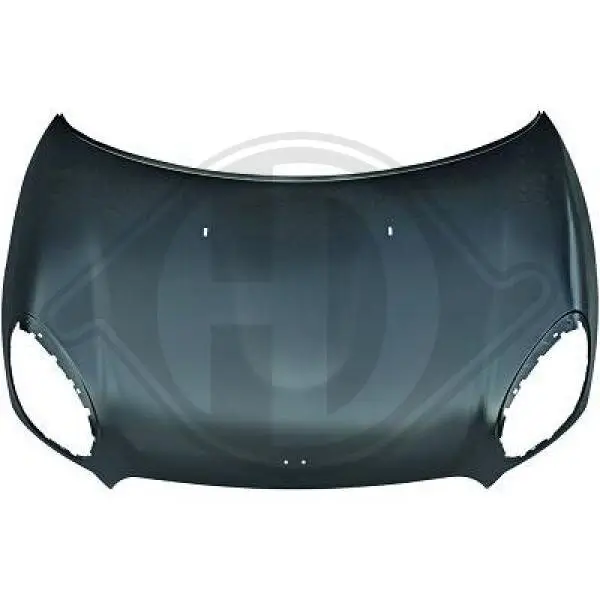 Motorhaube DIEDERICHS 1207000