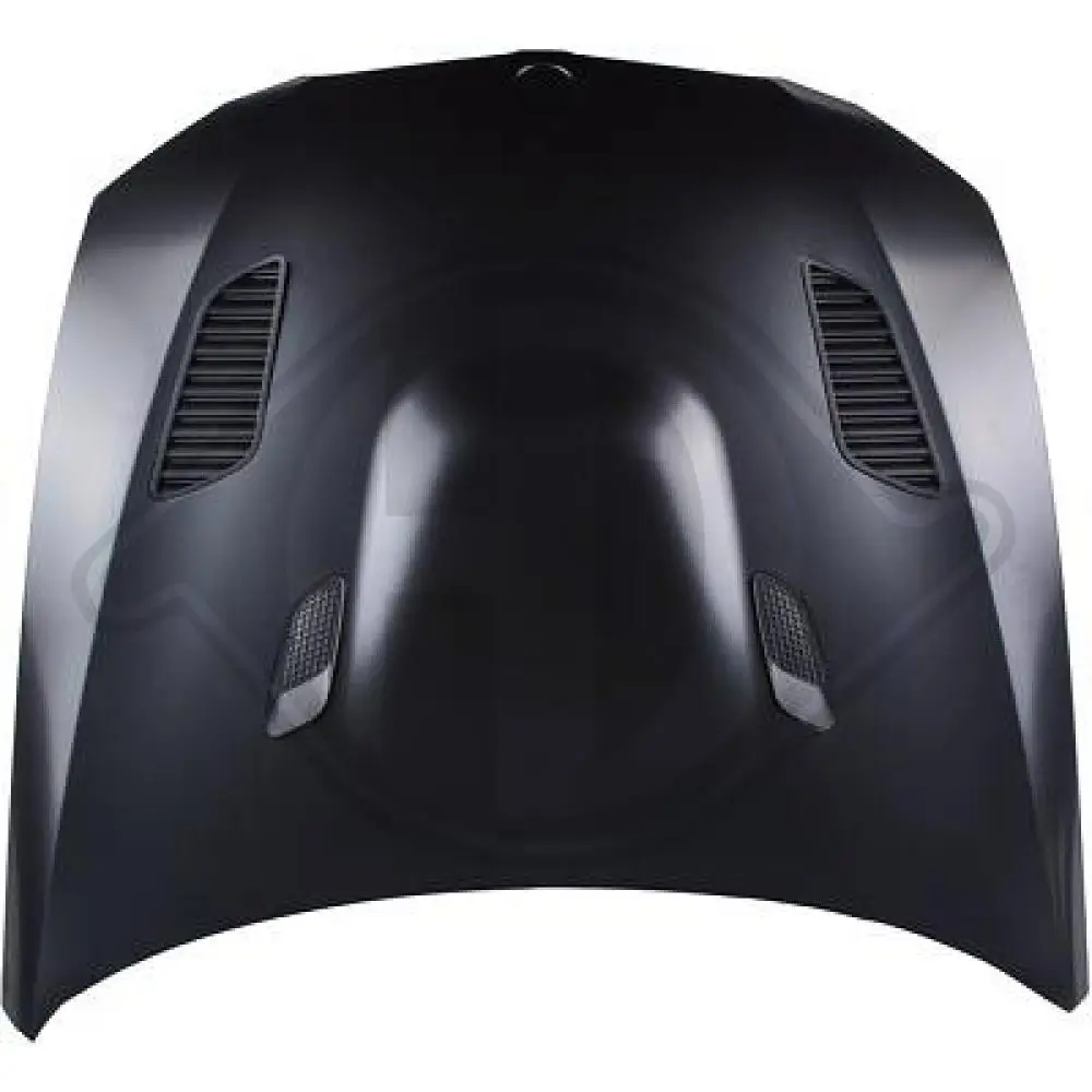 Motorhaube DIEDERICHS 1216200