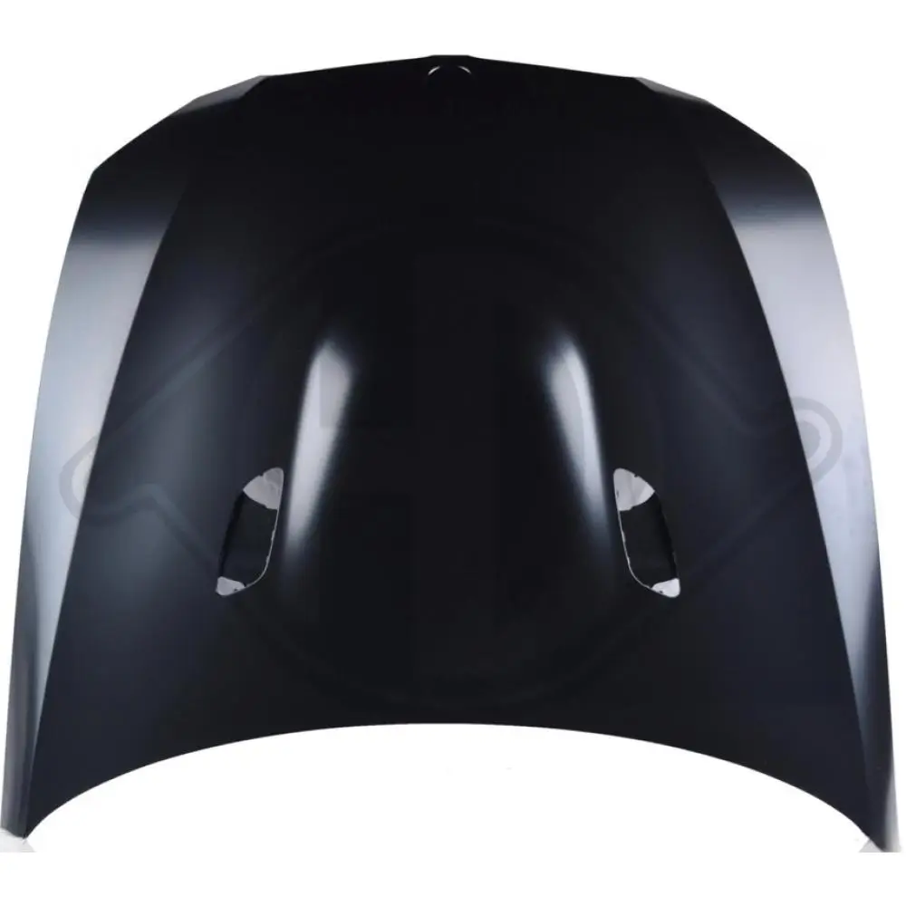 Motorhaube vorne DIEDERICHS 1216202