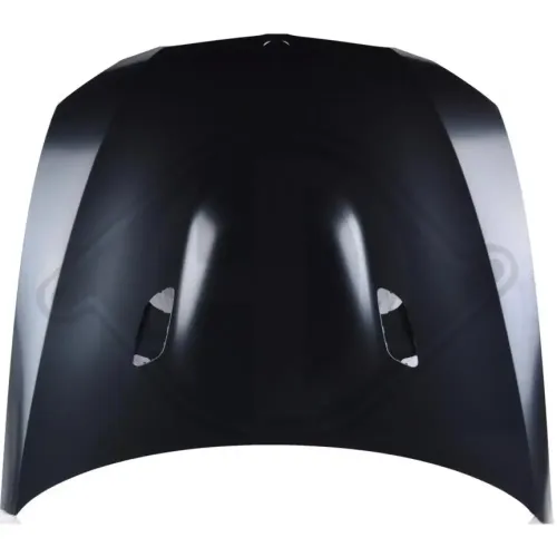 Motorhaube vorne DIEDERICHS 1216202 Bild Motorhaube vorne DIEDERICHS 1216202
