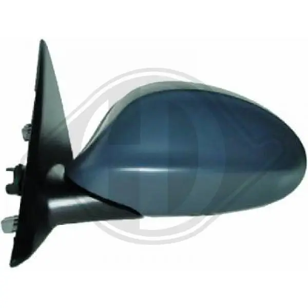 Außenspiegel links DIEDERICHS 1216225