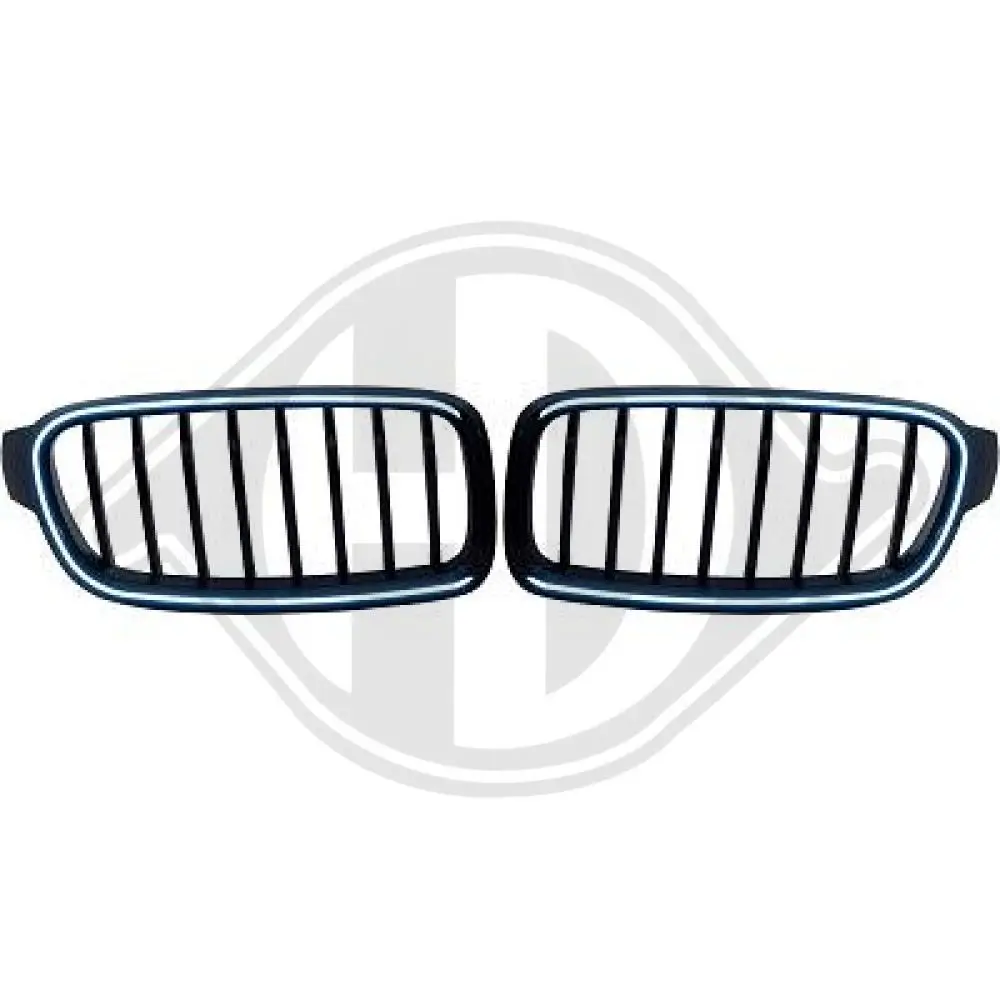 Kühlergitter DIEDERICHS 1217245