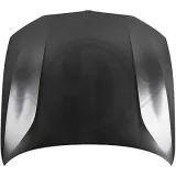 Motorhaube DIEDERICHS 1219000