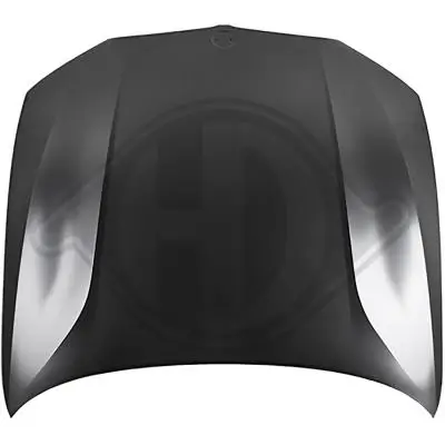 Motorhaube DIEDERICHS 1219001 Bild Motorhaube DIEDERICHS 1219001
