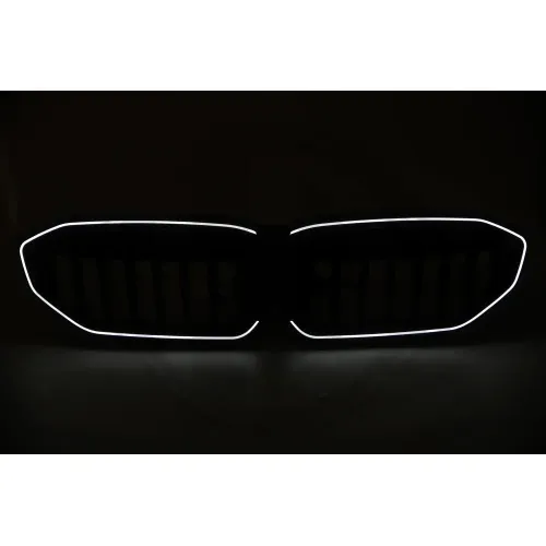 Kühlergitter DIEDERICHS 1219243 Bild Kühlergitter DIEDERICHS 1219243