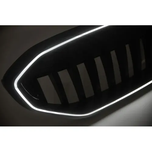 Kühlergitter DIEDERICHS 1219243 Bild Kühlergitter DIEDERICHS 1219243