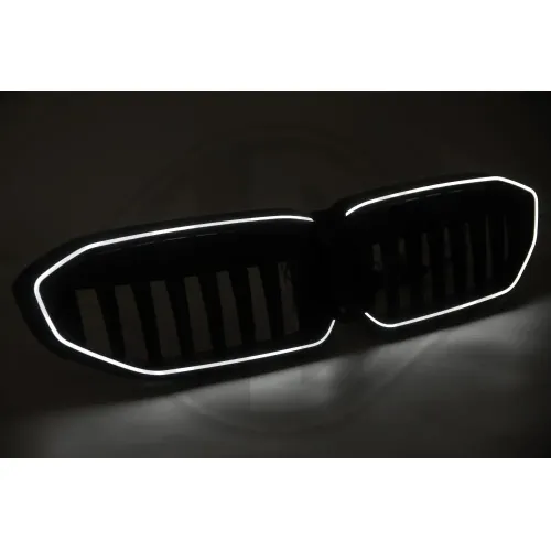 Kühlergitter DIEDERICHS 1219243 Bild Kühlergitter DIEDERICHS 1219243