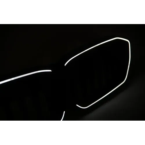 Kühlergitter DIEDERICHS 1219243 Bild Kühlergitter DIEDERICHS 1219243