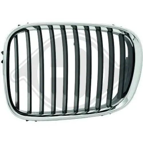 Kühlergitter links DIEDERICHS 1223043 Bild Kühlergitter links DIEDERICHS 1223043