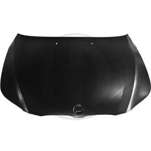 Motorhaube DIEDERICHS 1224000 Bild Motorhaube DIEDERICHS 1224000