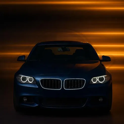 Kühlergitter DIEDERICHS 1225241 Bild Kühlergitter DIEDERICHS 1225241