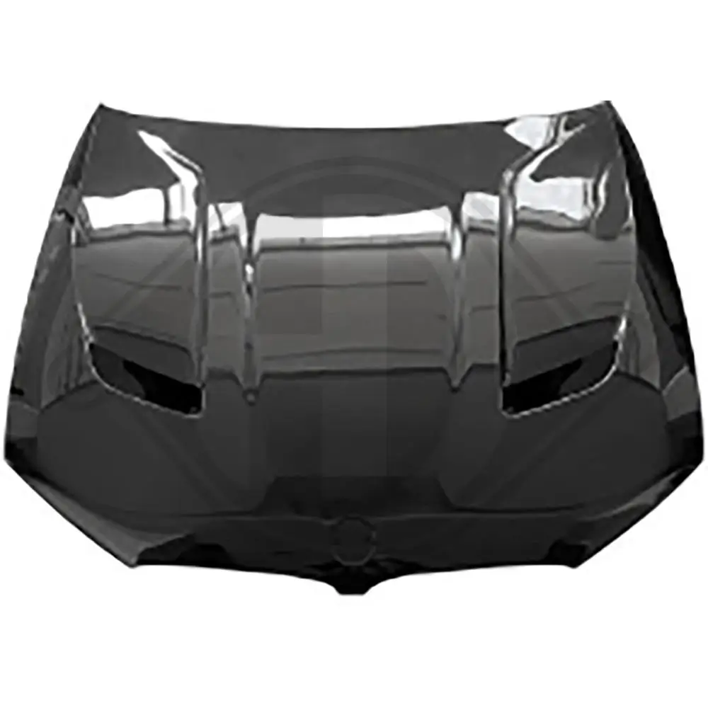 Motorhaube vorne DIEDERICHS 1226500