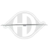 Zier-/Schutzleiste, Stoßfänger hinten DIEDERICHS 1228064