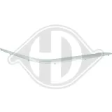 Zier-/Schutzleiste, Stoßfänger vorne rechts DIEDERICHS 1242164