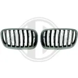 Kühlergitter DIEDERICHS 1291240