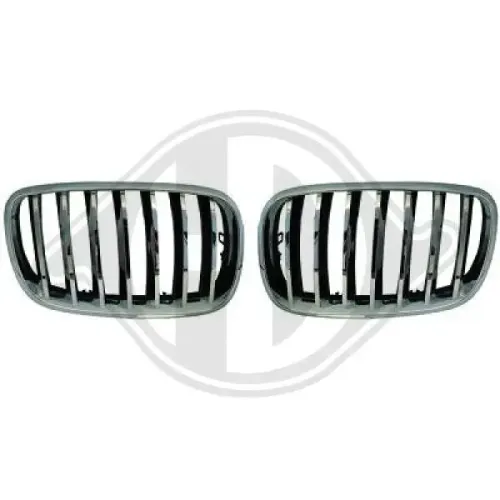 Kühlergitter DIEDERICHS 1291240 Bild Kühlergitter DIEDERICHS 1291240