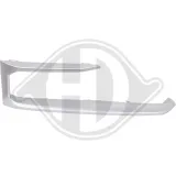 Rahmen, Nebelscheinwerfer vorne rechts DIEDERICHS 1294034