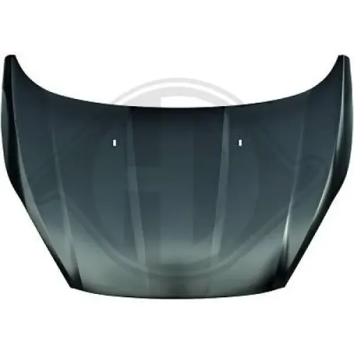 Motorhaube DIEDERICHS 1405100 Bild Motorhaube DIEDERICHS 1405100