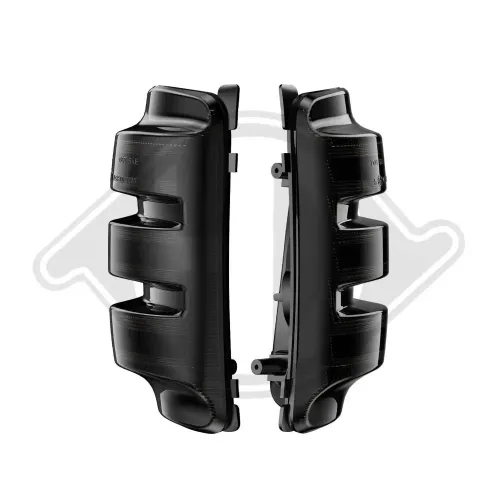 Blinkleuchtensatz Außenspiegel DIEDERICHS 1456270 Bild Blinkleuchtensatz Außenspiegel DIEDERICHS 1456270