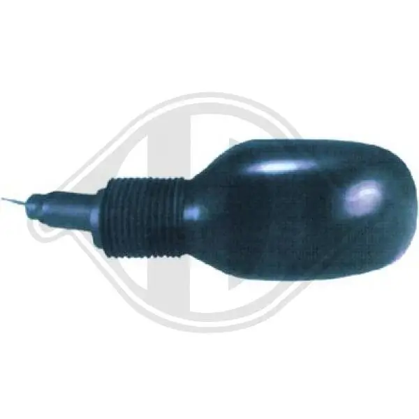 Außenspiegel beidseitig DIEDERICHS 1460024