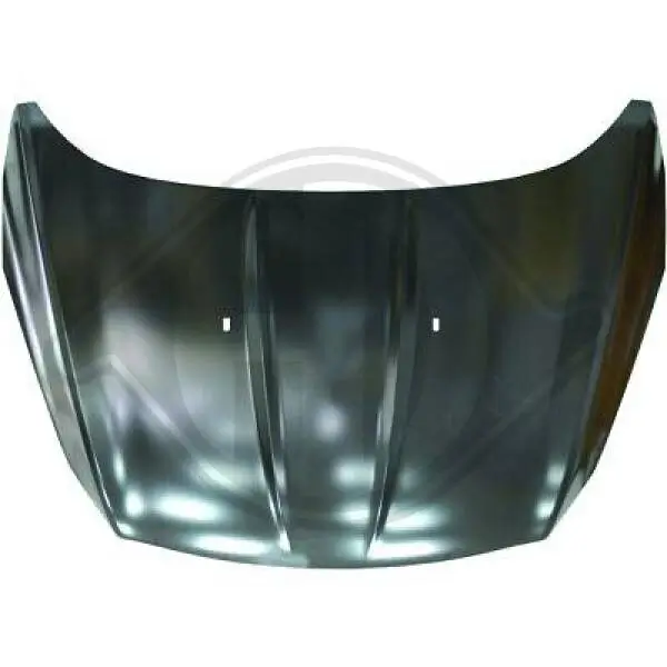 Motorhaube DIEDERICHS 1471000