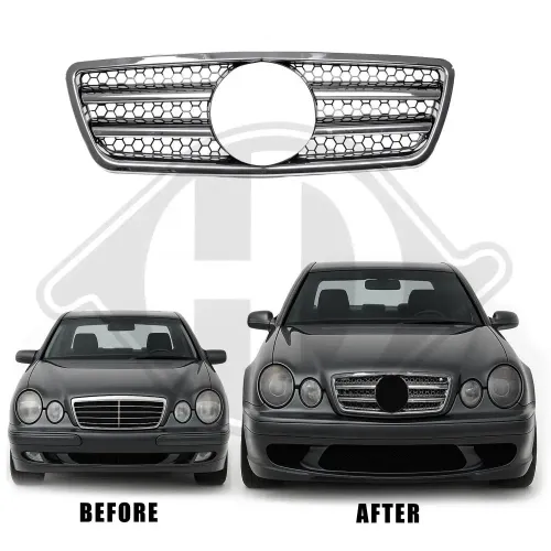 Kühlergitter DIEDERICHS 1614241 Bild Kühlergitter DIEDERICHS 1614241