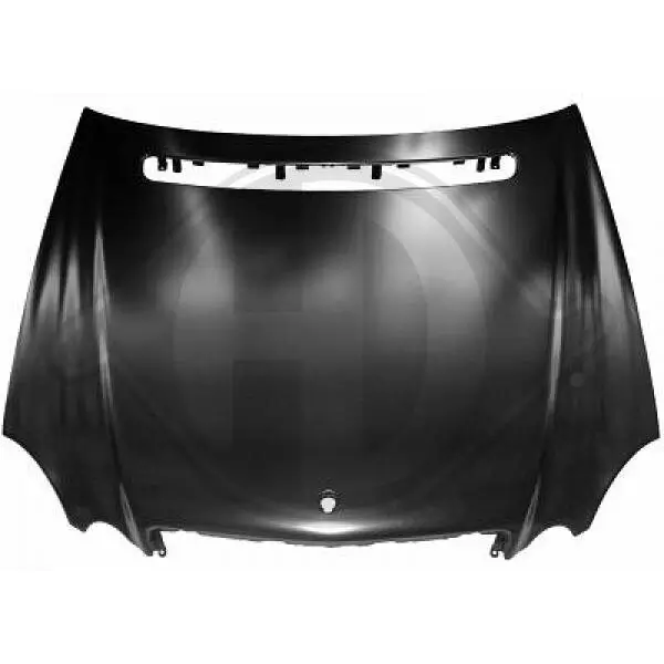 Motorhaube DIEDERICHS 1615000