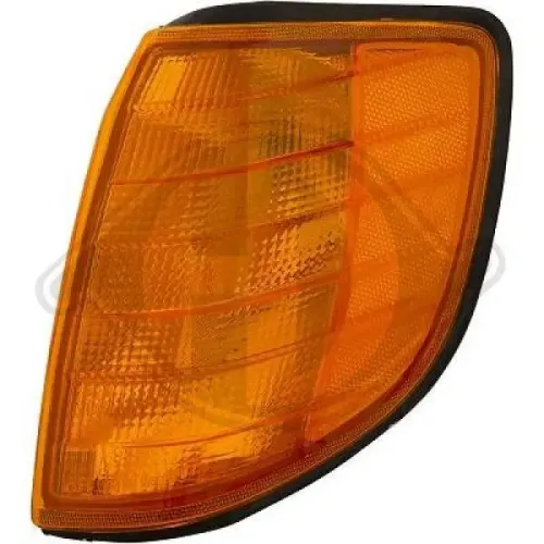 Blinkleuchte vorne links DIEDERICHS 1645071 Bild Blinkleuchte vorne links DIEDERICHS 1645071