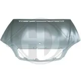 Motorhaube DIEDERICHS 1646000