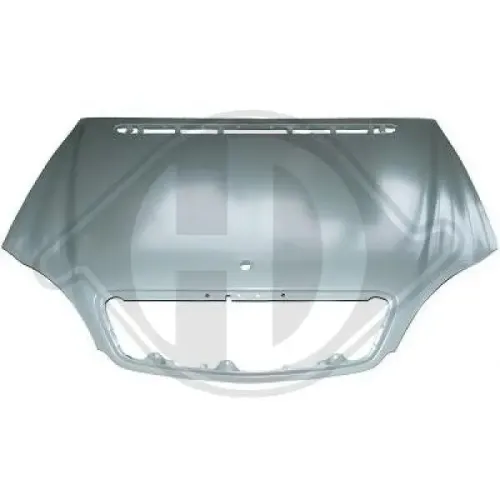 Motorhaube DIEDERICHS 1646000 Bild Motorhaube DIEDERICHS 1646000