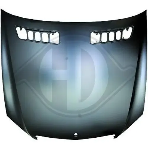 Motorhaube DIEDERICHS 1647000 Bild Motorhaube DIEDERICHS 1647000