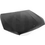 Motorhaube DIEDERICHS 1656001