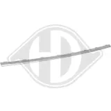 Blende, Stoßfänger vorne DIEDERICHS 1656361