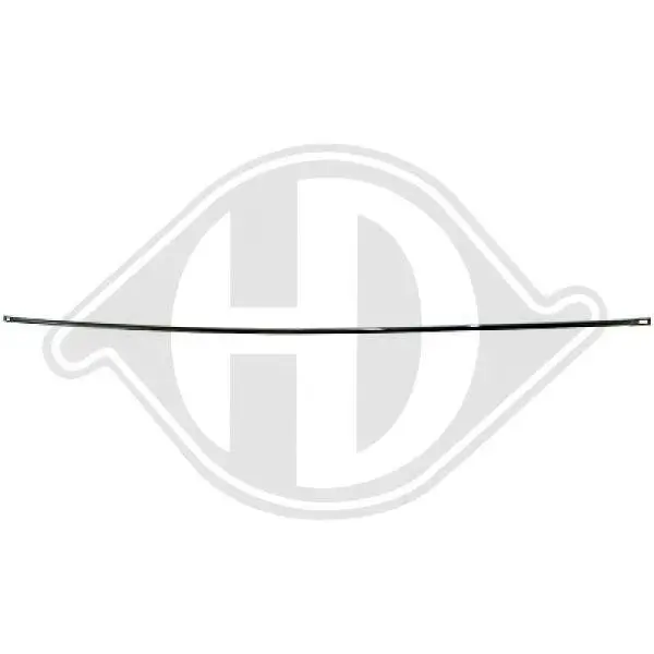 Zier-/Schutzleiste, Stoßfänger Mitte hinten DIEDERICHS 1672066