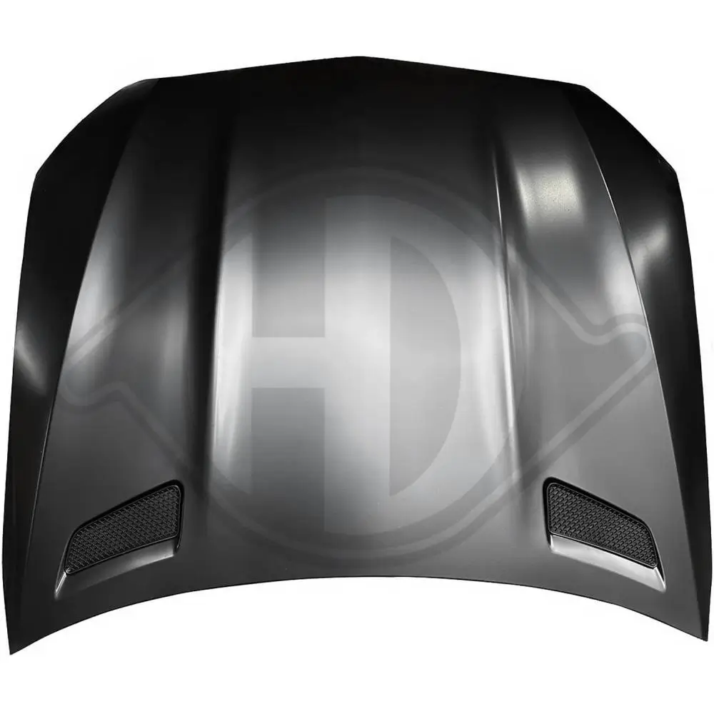 Motorhaube vorne DIEDERICHS 1674200