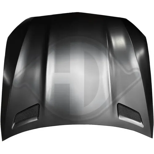 Motorhaube vorne DIEDERICHS 1674200 Bild Motorhaube vorne DIEDERICHS 1674200
