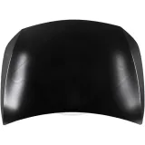 Motorhaube DIEDERICHS 1683100