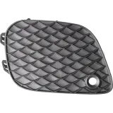 Lüftungsgitter, Stoßfänger links DIEDERICHS 1687643