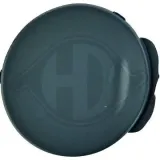 Klappe, Abschlepphaken hinten DIEDERICHS 1806266