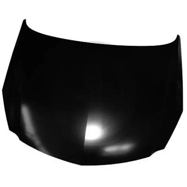 Motorhaube DIEDERICHS 1826001